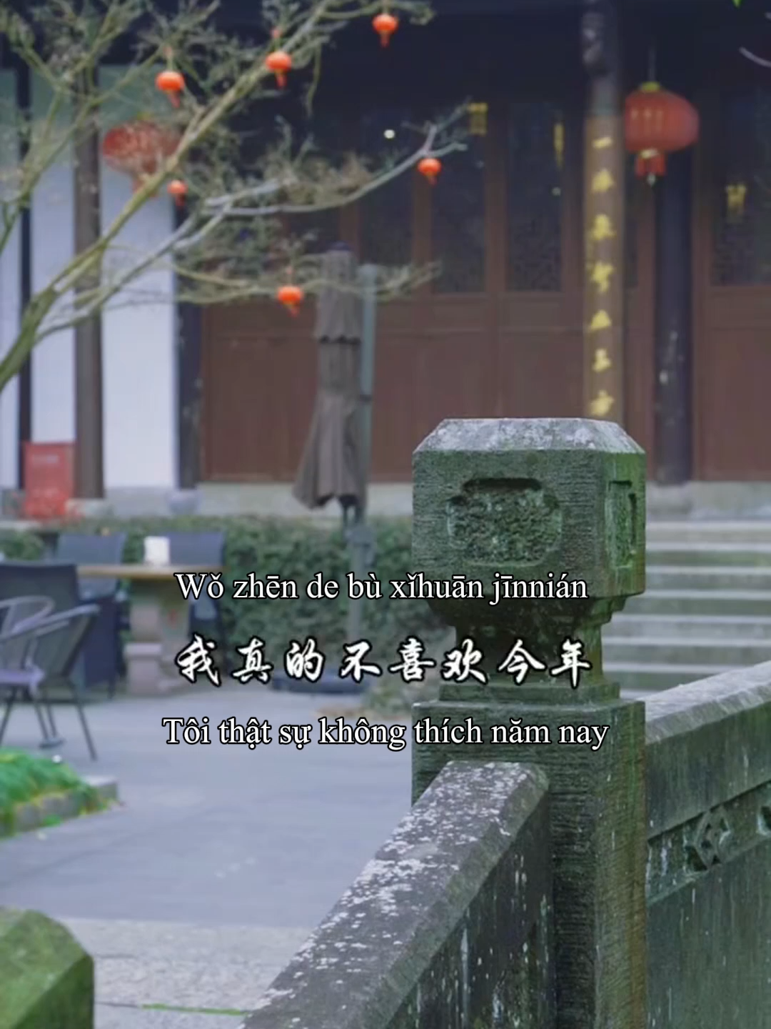 Một năm mơ hồ ~ 我真的不喜欢今年 今年是我长这么大以来 最煎熬的一年 发生了太多捽不及防的事情 我真的很迷茫 也很崩溃 太多的无能为力 有时候看着自己的故事 都替自己心酸 笑容可以瞒过所有人 可心痛瞒不过自己。 Wǒ zhēn de bù xǐhuān jīnnián Jīnnián shì wǒ zhǎng zhème dà yǐlái Zuì jiān'áo de yī nián Fāshēng le tài duō zuó bùjí fáng de shìqíng Wǒ zhēn de hěn mímáng Yě hěn bēngkuì Tài duō de wúnéngwéilì Yǒu shíhòu kàn zhe zìjǐ de gùshì Dōu tì zìjǐ xīnsuān Xiàoróng kěyǐ mán guò suǒyǒu rén Kě xīntòng mán bùguò zìjǐ. #luugiukhoanhkhacdep💓🍁 #yeuthuongchinhmimh #luugiukhoanhkhac #cuocsongbinhyen #langkinhcuocsong #cuocsongthuongngay #vuivemoingay❤️ #yeuthuongbanthan #camontatca #yeuthuong #nolucphandau #binhannhe☘️ #binhannhe☘ #vuotquakhokhan #tuchualanh