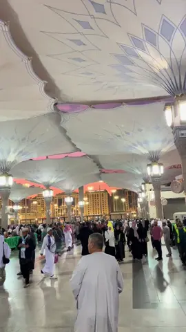 ‎اَللّهُمَ صَلِّ عَلی مُحَمَّدٍ وَ عَلی آلِ مُحَمَّدٍ ، کَما صَلَّیْتَ عَلی اِبراهیمَ وَ عَلی آلِ اِبراهیمَ اِنَّکَ حَمیدٌ مَّجیدٌ اَللّهُمَ بارِکْ عَلی مُحَمَّدٍ وَ عَلی آلِ مُحَمَّدٍ ، کَما بارَکْتَ عَلی اِبراهیمَ وَ عَلی آلِ اِبراهیمَ اِنَّکَ حَمیدٌ مَّجیدٌ . . . . . #yaallahﷻ #yarasoolallahﷺ #fyp #rabiawalmubarak #islamic_video ❤️