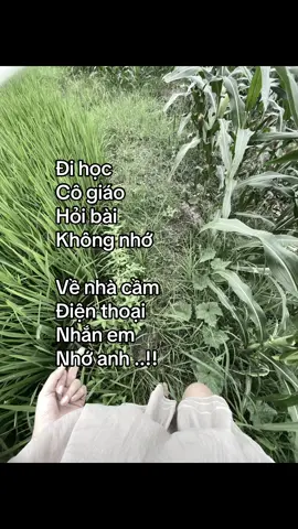#xuhuongtiktok  lạ nhỉ 🤣