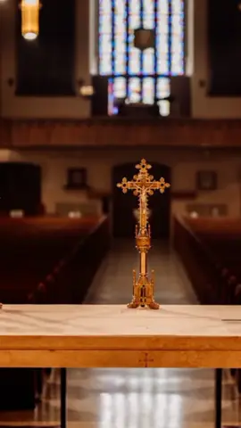 #catholicprayer #catholictiktok #catholicsoftiktok 