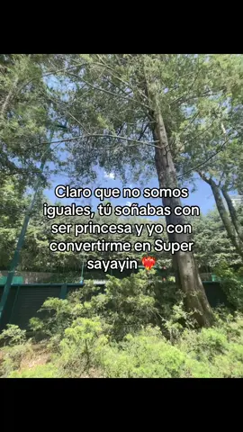 Lo sigo intentando ❤️‍🔥 #dbz #supersayayin #fpy #paratiiiiiiiiiiiiiiiiiiiiiiiiiiiiiii #dragonball 