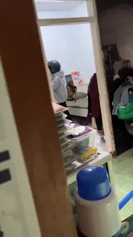 prank kagetin istri #comedy #funny #memes #ngakak #lucu 