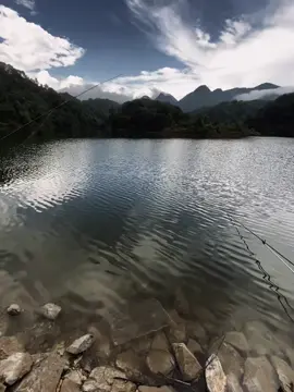 trả lời anh vài câu giờ em nơi đâu...#fyp 