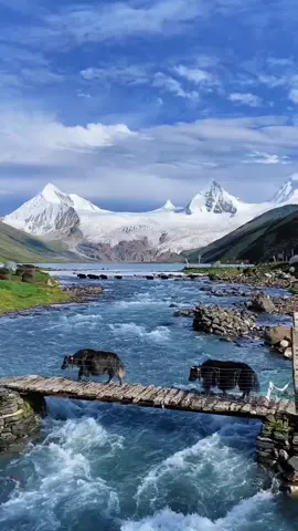 **โปรแกรมท่องเที่ยวสุดพิเศษ: ซาปู (萨普) ดินแดนบริสุทธิ์แห่งทิเบต 6 วัน 5 คืน**  ดินแดนแห่งขุนเขาและทะเลสาบศักดิ์สิทธิ์ที่ซ่อนตัวอยู่ในหุบเขาของทิเบต ความงดงามที่เหนือคำบรรยายราวกับสวรรค์บนดิน! โปรแกรมนี้จะพาคุณสัมผัสความมหัศจรรย์ของธรรมชาติและวัฒนธรรมทิเบตอย่างลึกซึ้ง ด้วยการเดินทางแบบกรุ๊ปเล๋กไม่เกิน 8ท่าน พร้อมทีมงานมืออาชีพและยานพาหนะสุดสบายที่จะทำให้ทุกโมเมนต์ของทริปนี้เป็นความทรงจำที่ไม่อาจลืม! #เที่ยวจีน #เขยเฉิงตูพาเที่ยว #tibet #ธิเบต 