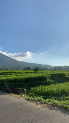 Dari bawah aja udh cantik#cikuray_2821mdpl 