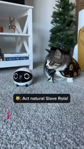 Meet Rola Mini — your pet’s new best friend (or accomplice?) 🤔😹‌ featuring blogbylindel‌ on Instagram They got the Rola Mini to keep an eye on their cat while they're away… and now they’re inseparable! 🐱🤖 From playtime chases to curious nose boops, this little robot keeps my fur baby happy and me at ease.‌ Designed for connection, safety, and peace of mind, the Enabot Rola Mini lets you watch, talk, and interact with your pet anytime, anywhere! It’s not just a camera — it’s a moving companion that helps you stay close, even from afar. 🎥✨‌ Because being apart shouldn’t mean feeling disconnected! 😍🐾✨ Tap the yellow basket & SHOP NOW! 🛒‌‌💛 #enabot #enabotrolamini #tiktokmademebuyit #petcamerarobot #singaporepets 