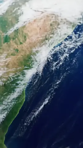 Orca showing finger #jessica #jissica #orca #orcas #fyp #1millionviews 