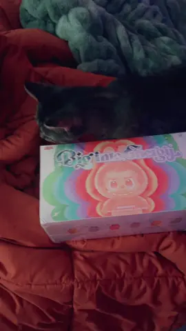 Another unboxing video #labubu #unboxing 