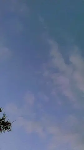 @Muhammed Wisal #foryourpage#foryourpagetiktok #viraltiktok #foryourpage#viraltiktok