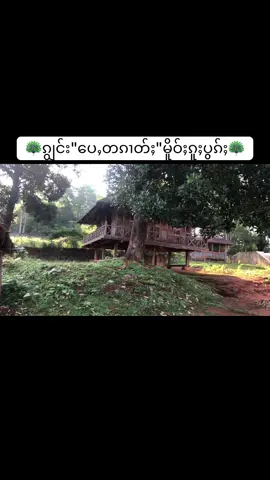 🦚🛖🦚#foryou  @WinStory 2 (สำรอง) 