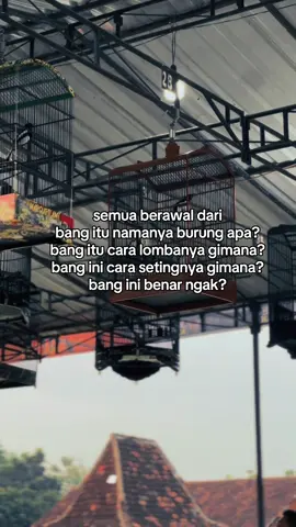 #CapCut #kicaumania #storykicaumania #kacermaniaindonesia #hitamputih 
