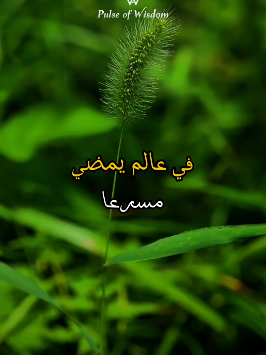 🔑 حكمة من هذا الزمان… ستجعلك تعيد التفكير في كل شيء!#حكمة_الزمن #واقع_نعيشه #كلام_يؤثر #خواطر #حكمة_اليوم    