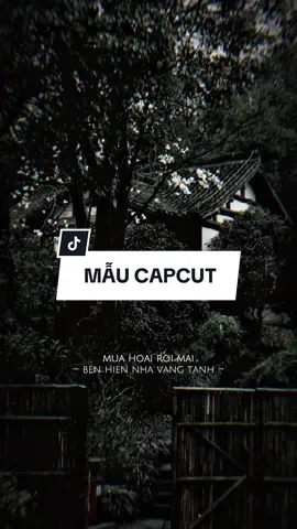 Mưa hoài rơi mãi bên hiên nhà vắng tanh chẳng còn một ai #CapCut #xh #nhachaymoingay #capcut #capcutpioneer #pioneertemplate 