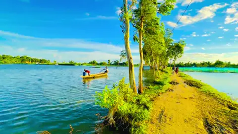 প্রেম হবে বহুবার,তবে মানুষ মায়াই পরে একবার.....🥹❤️‍🩹🌿#প্রকৃতি #sky #anfeezemyaccont #greenscreen #viral_video_tiktok 
