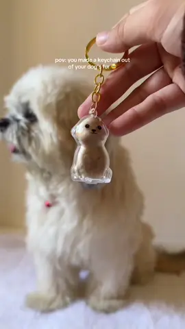 #furkeychain #foryoupage #fyp #furbaby 