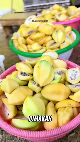 EKSKLUSIVE TUMBUHNYA CUMA DIKETINGGIAN 1500 MDPL ‼️ 🏡 CARICA DIENG ASLI WONOSOBO ☎️ INFO DETAIL DIAKHIR VIDIO  #kuliner #food #carica #oleholehjogja #kulinerwonosobo 