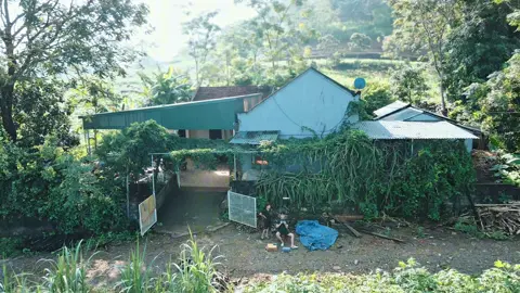 Chill cùng bình minh ở một miền quê nghèo #CapCut #xuhuongtiktok #36thanhhoa #flaycam4k #flycam 