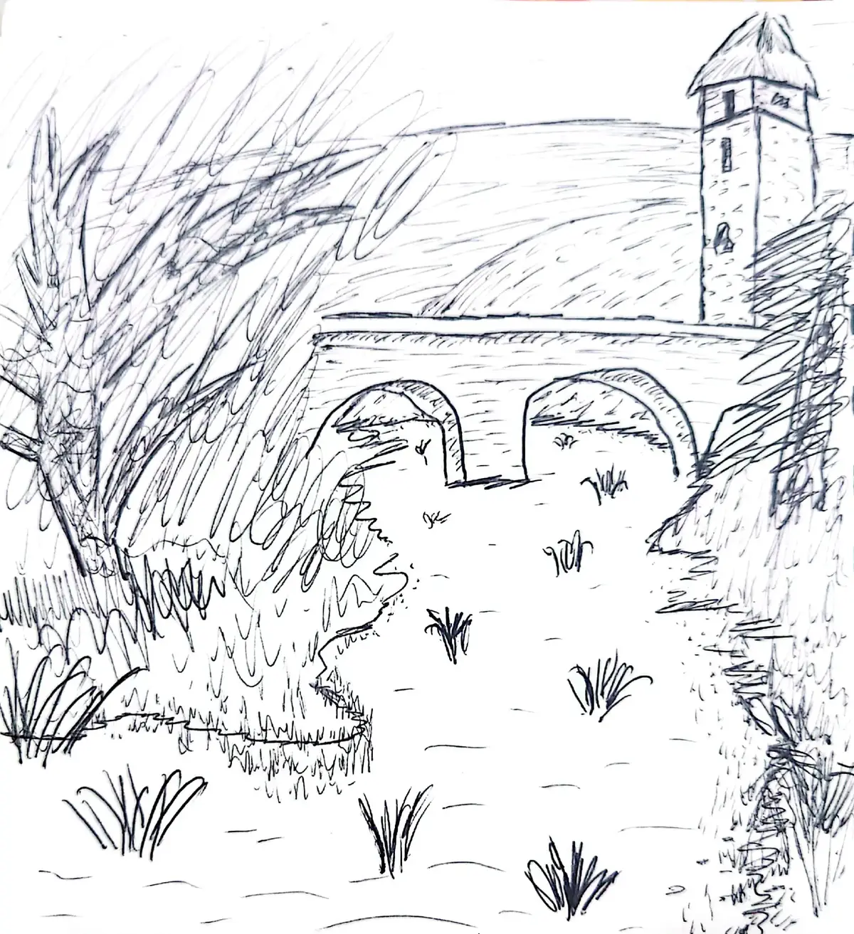 I scanned them with cam scanner. 