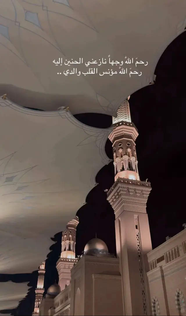 #رحم_الله_ارواحا_لاتعوض #ياربي_أجبر_قلبي💔 #explore #فقيدي_أبي #مالي_خلق_احط_هاشتاقات #fyp #يارب_فوضت_امري_اليك #يارب_ارحم_من_فارقونا_ياعظيم #اكسبلورexplore 