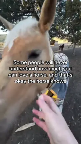 Only horse lovers can relate 