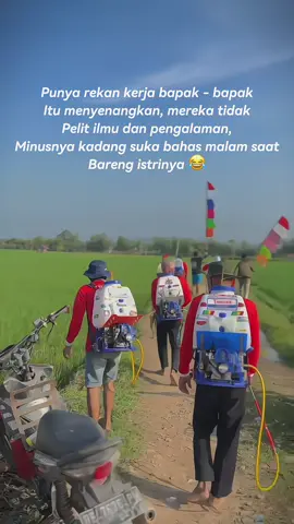 #fyppppppppppppppppppppppp #petanimuda #petaniindonesia🇮🇩🇮🇩🇮🇩🌿🌿 #masukberandafypシ゚viral #petanimilenial 