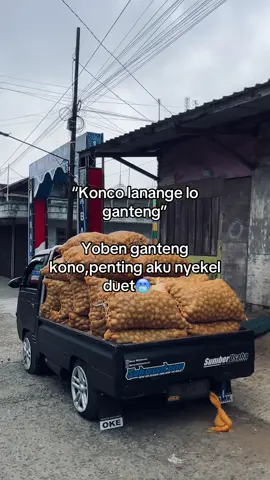 Elek benn penting nyekel duit🤑😂🙋🏼 #Gesangsayurco #foryoupage #storydriver 