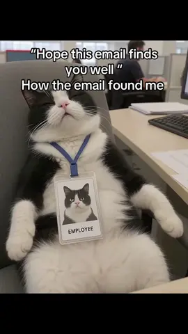 Monday is the fxxkest day #fyp #worklife #office #workhumor #catmeme 
