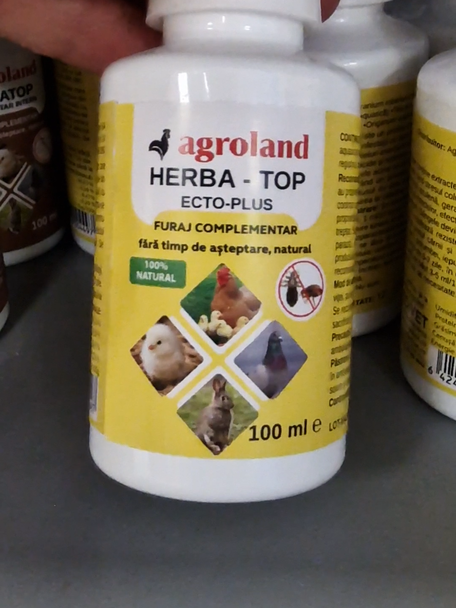 Ca răspuns pentru @elenamptr25 #chicken #♡ #vibes #agriculture #goviral 