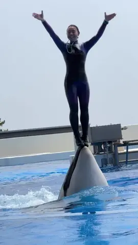 #creatorsearchinsights #foryou #Dolphin #trending #foryou 