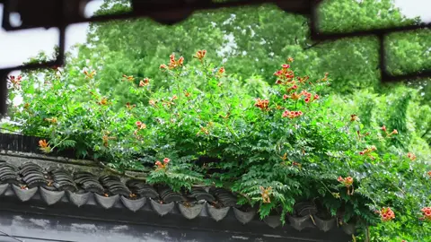 Điều khiến người ta không thể rời xa, chưa bao giờ là tình yêu mãnh liệt, mà là cách chung sống bền bỉ như dòng nước. #cophong #nhactrungquoc #nhachay  #binhyen #nhenhang #fyp #an  #nhutam #197 #nguyennguoian🍀 