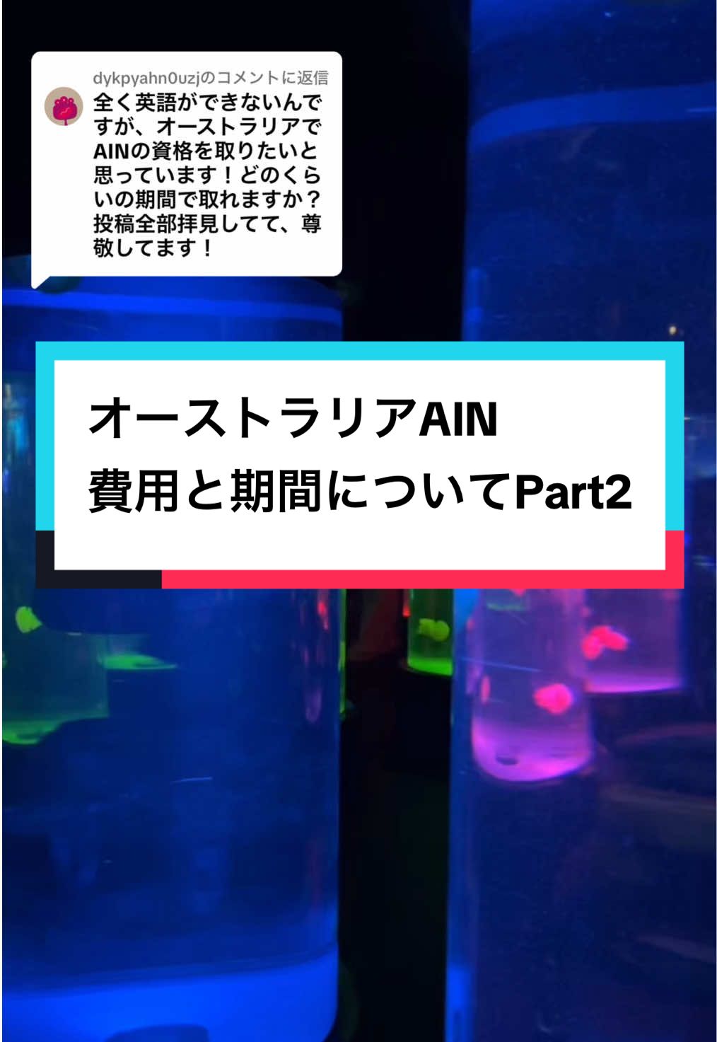 @dykpyahn0uzjに返信  遅れてすみません💦 Part2になります！ #オーストラリア留学 #Sydney #看護留学 #ワーホリ生活 #AIN #australia #アシスタントナース 