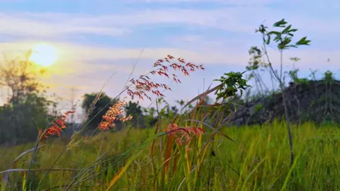 Andaikan dulu aku bicara mungki kau masih di sini.#bojonegoro24jam #foryou #cinematography #fyppppppppppppppppppppppp #masukberandafyp