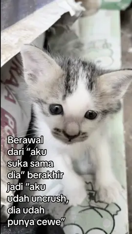 #fyppppppppppppppppppppppp #masukbranda #justkonten 