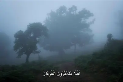 أَفَلَا يَتَدَبَّرُونَ ٱلۡقُرۡءَانَۚ وَلَوۡ كَانَ مِنۡ عِندِ غَيۡرِ ٱللَّهِ لَوَجَدُواْ فِيهِ ٱخۡتِلَٰفٗا كَثِيرٗا ||😍♥️#الشيخ_شعبان_الصياد #quran #قرآن #قران_كريم 