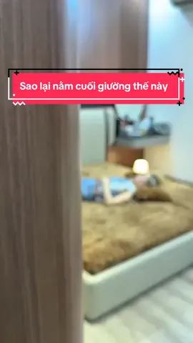 Sao lại nằm cuối giường thế này #xuhuong2025 #thinhhanh #setga3mon #gacoco #gatuyetnhung 