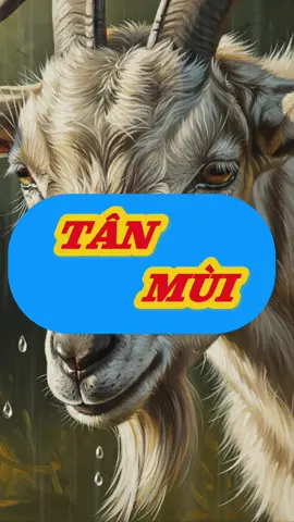 Tân Mùi #phongthuy #tuvi12congiap #review #xuhuong #tanmui1991 