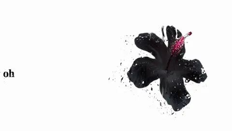 Poison tree#songs #musik #growmyaccount #fyp 