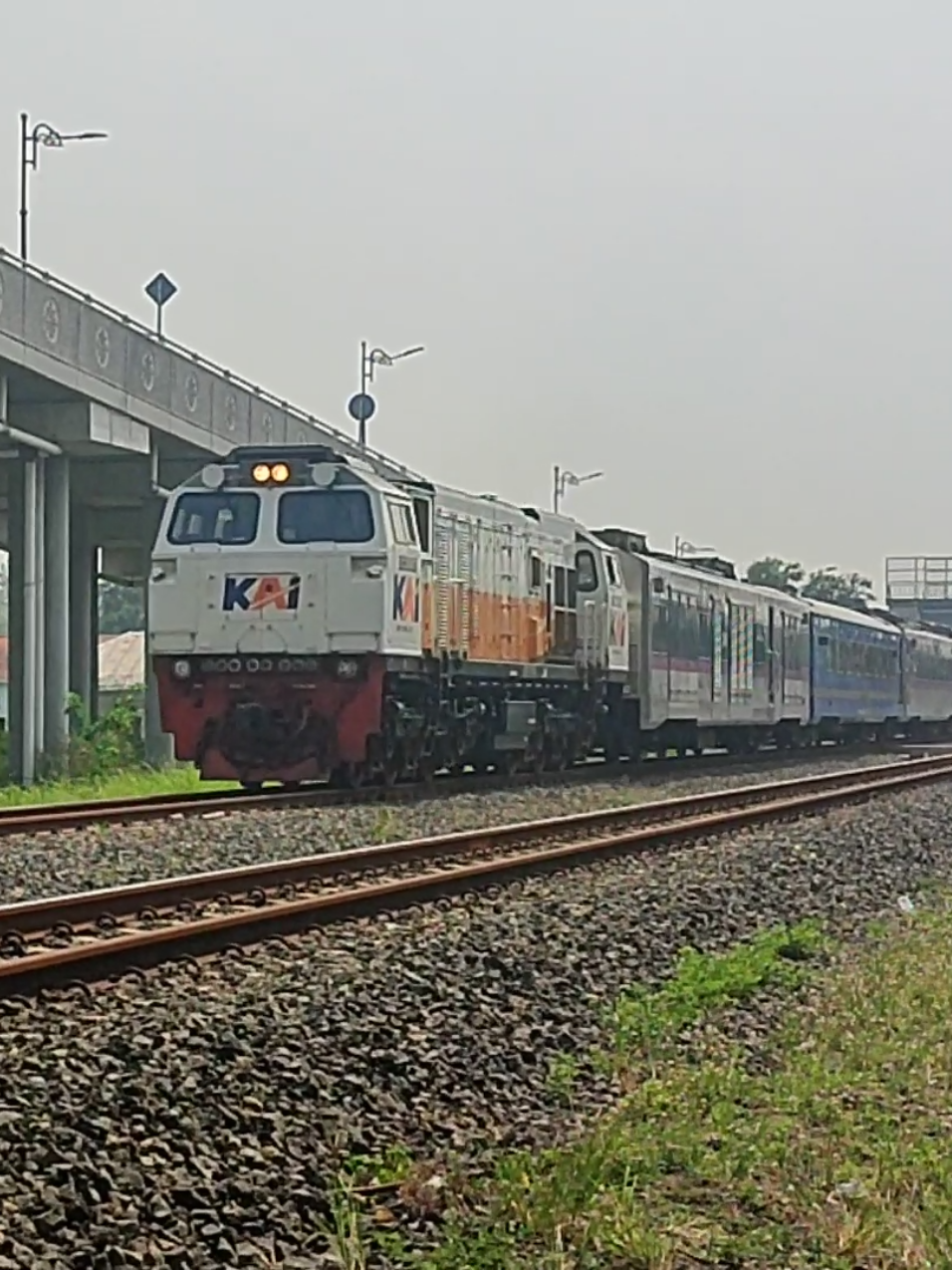 Naik Kereta Api Tut Tut Tut🚂 🚃🚃🚃 #naikkeretaapi #kai #laguanak #fypシ゚ #trending 