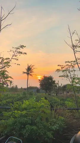 “Kadang senja hanya mengajarkan kita… bahwa yang indah pun bisa pergi tanpa pamit. Seperti kamu.” #s#sunsets#senjag#galauf#fypシv#viral#estetik