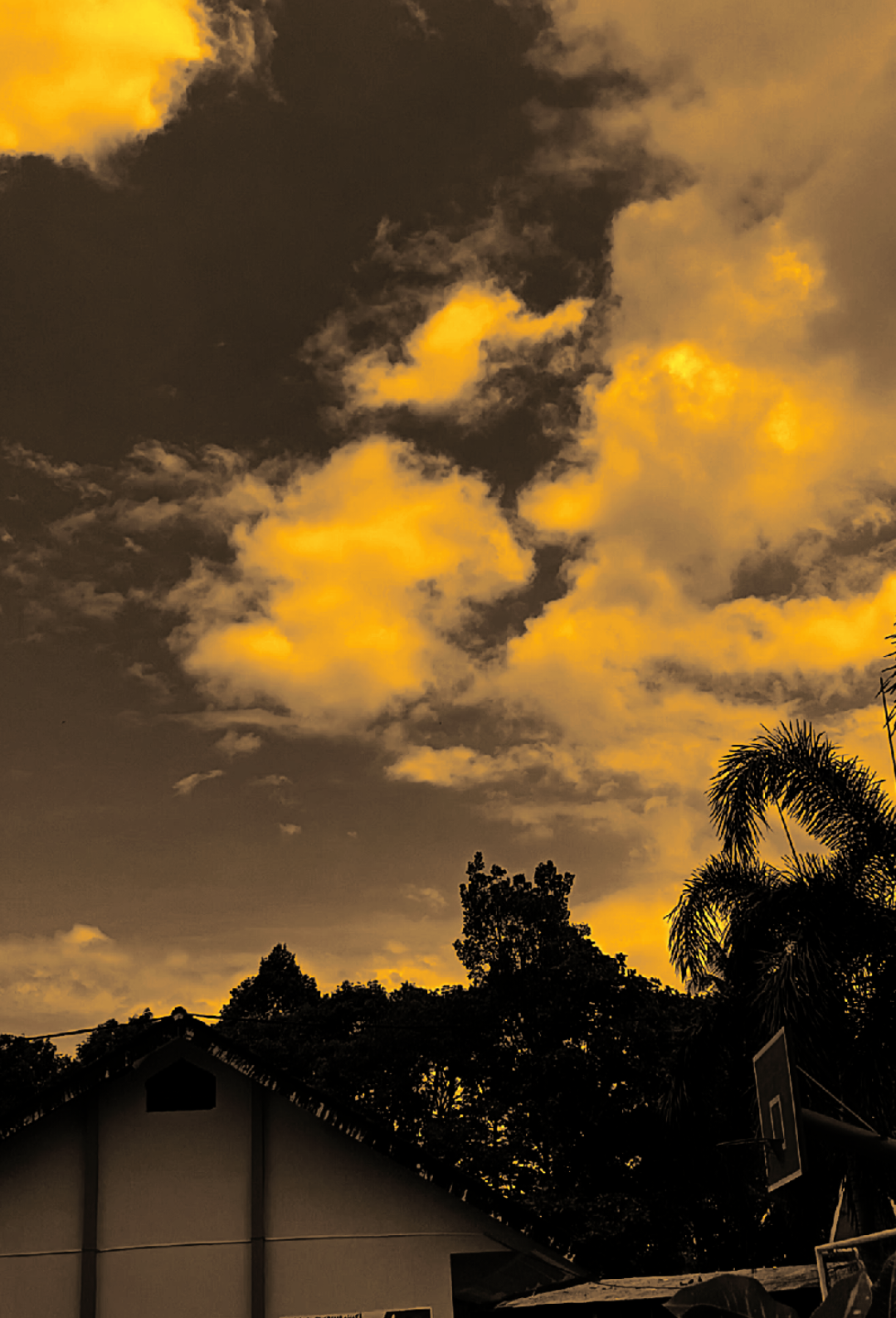 إذا رأيتني يومًا ما أحب شخصًا ما بشدة،  فصدق أنني كنت أتمنى أن تكون أنت “jika suatu hari kamu melihat ku mencintai seseorang dengan hebat,  percayalah dulu aku berharap itu adalah kamu.” #arabicsong #arabic #ilkalam #bismillahfyp #fyppppppppppppppppppppppp 