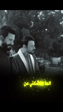 #creatorsearchinsights #دارميات #ابوذيات_عراقيه_ #مصمم_فيديوهات🎬🎵 #كامل_النوفلي 