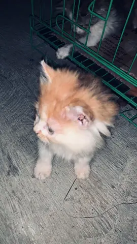 lucu #nightchanges #fyp #lyrics 