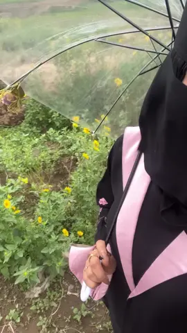 صباح الخير اتمنى يكون معي في اليوم الحو ذا صديقتي الالكترونية@حلا..🩵 #🥹🥹 #اليمن🇾🇪 #اكسبلورexplore #السعودية🇸🇦 #trend 