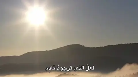 ضيفوني#قصائد_حسينية 