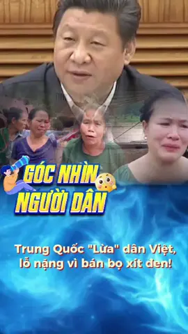 chiêu trò trung quốc nhắm vào việt nam và phản ứng của việt nam #tintinhbao #vietnam #trungquoc #tinnong #xuhuong