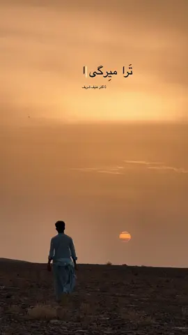 ڈاکٹر عنیف شریف بلوچ