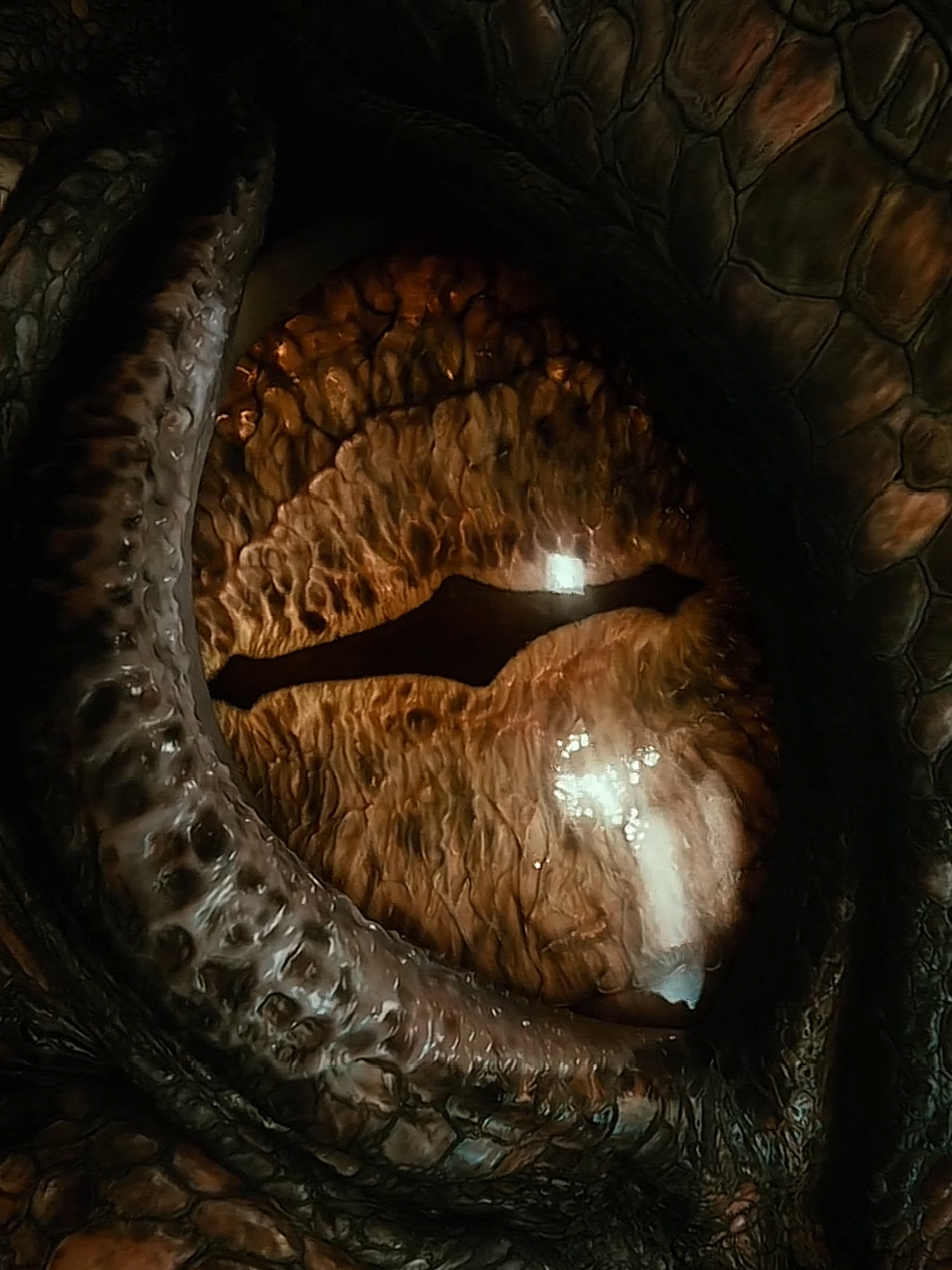 #viral #movie #lordoftherings #thehobbit