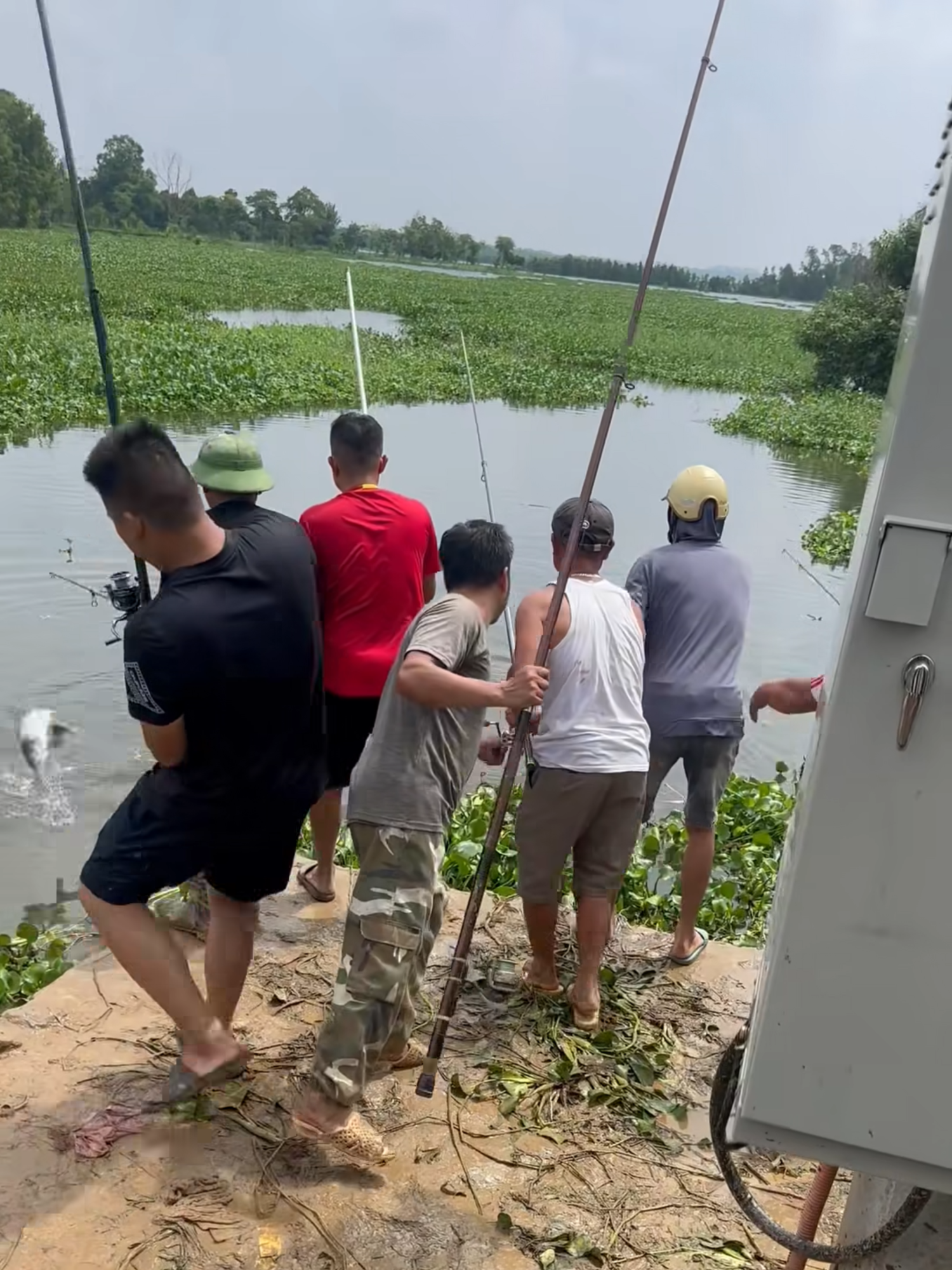 Cập nhập tình hình anh em sau bão #câucá #beufishing