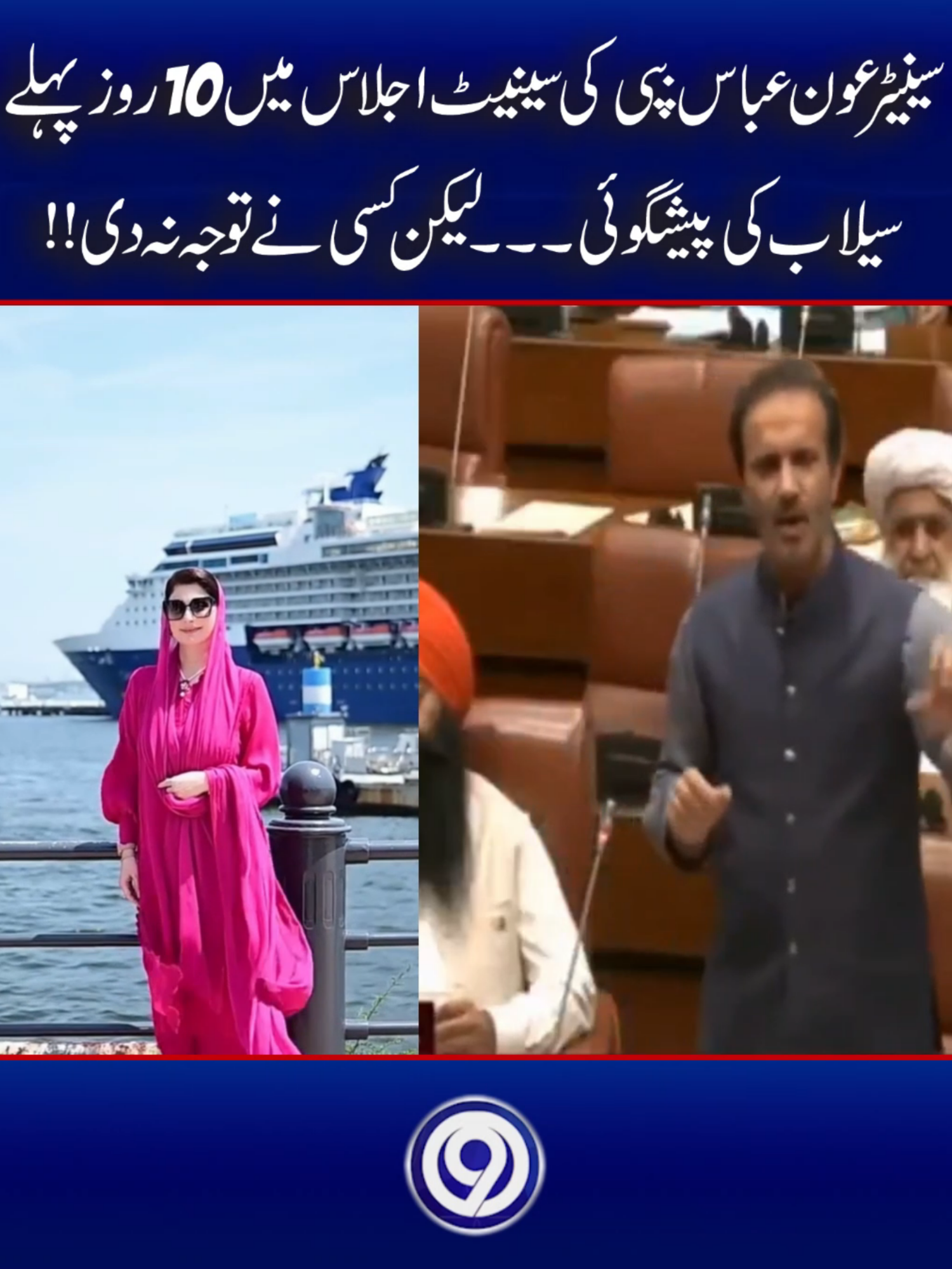 سینیٹر عون عباس بپی کی سینیٹ اجلاس میں 10روز پہلے سیلاب کی پیشگوئی۔۔۔لیکن کسی نے توجہ نہ دی!! #foryoupage #trending #viral #BreakingNews #leatestnews #9news