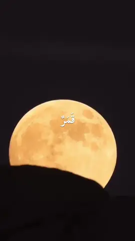 Qamarun💚 #yaseenwrites #muslimstiktok #viralvideos #rabiulawal #arabictiktok 